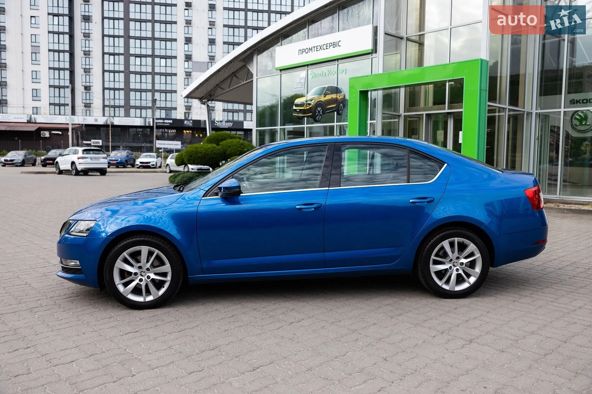 2019 Skoda Octavia - мініатюра 4