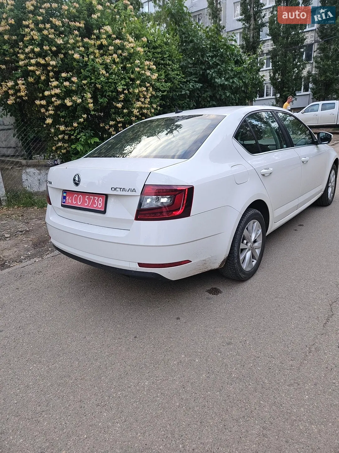 2017 Skoda Octavia - мініатюра 5