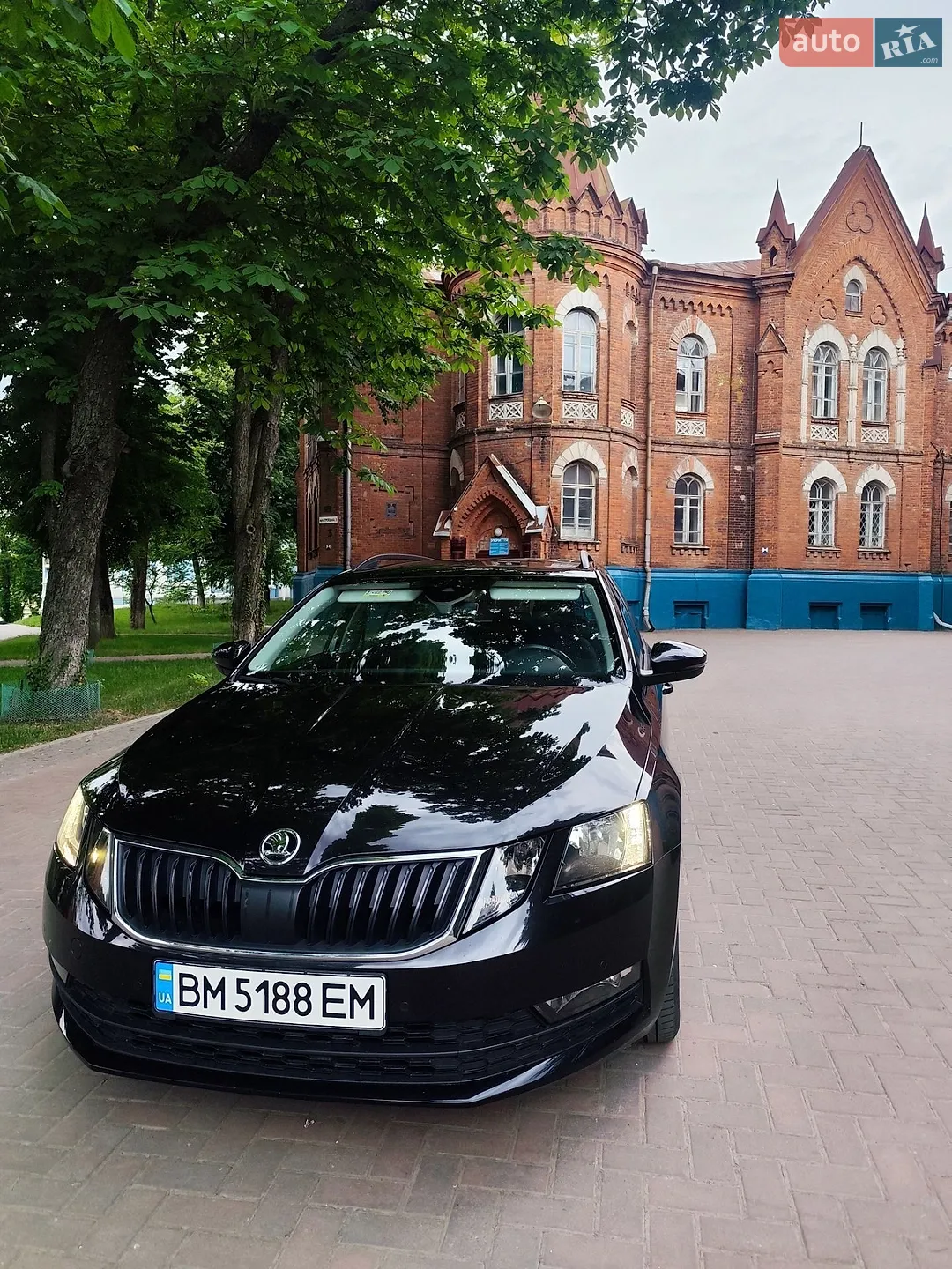 2019 Skoda Octavia - мініатюра 6