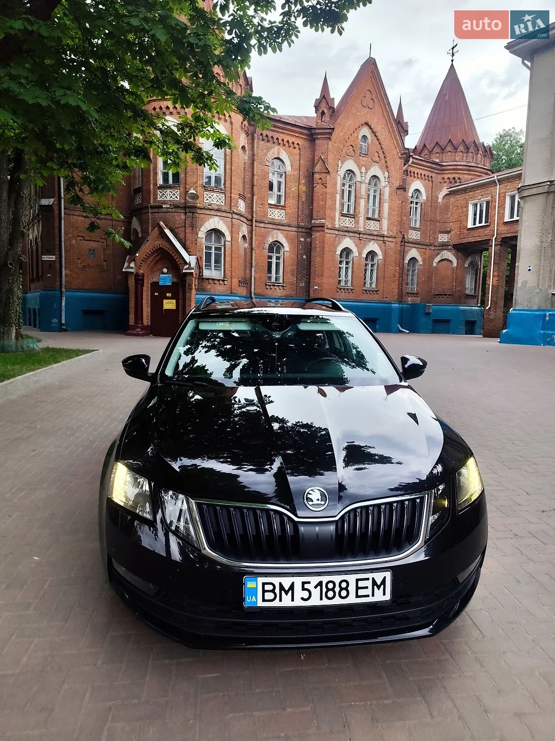 2019 Skoda Octavia - мініатюра 13