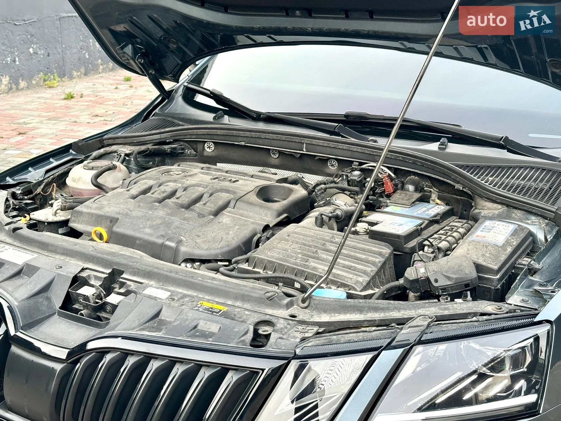 2017 Skoda Octavia - мініатюра 57