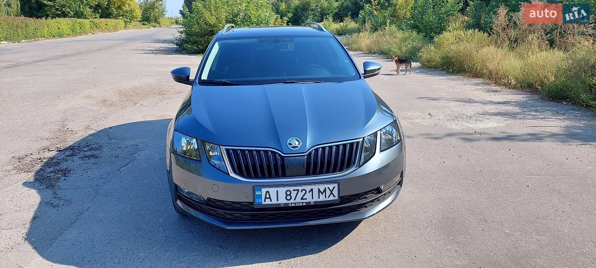2018 Skoda Octavia - мініатюра 2