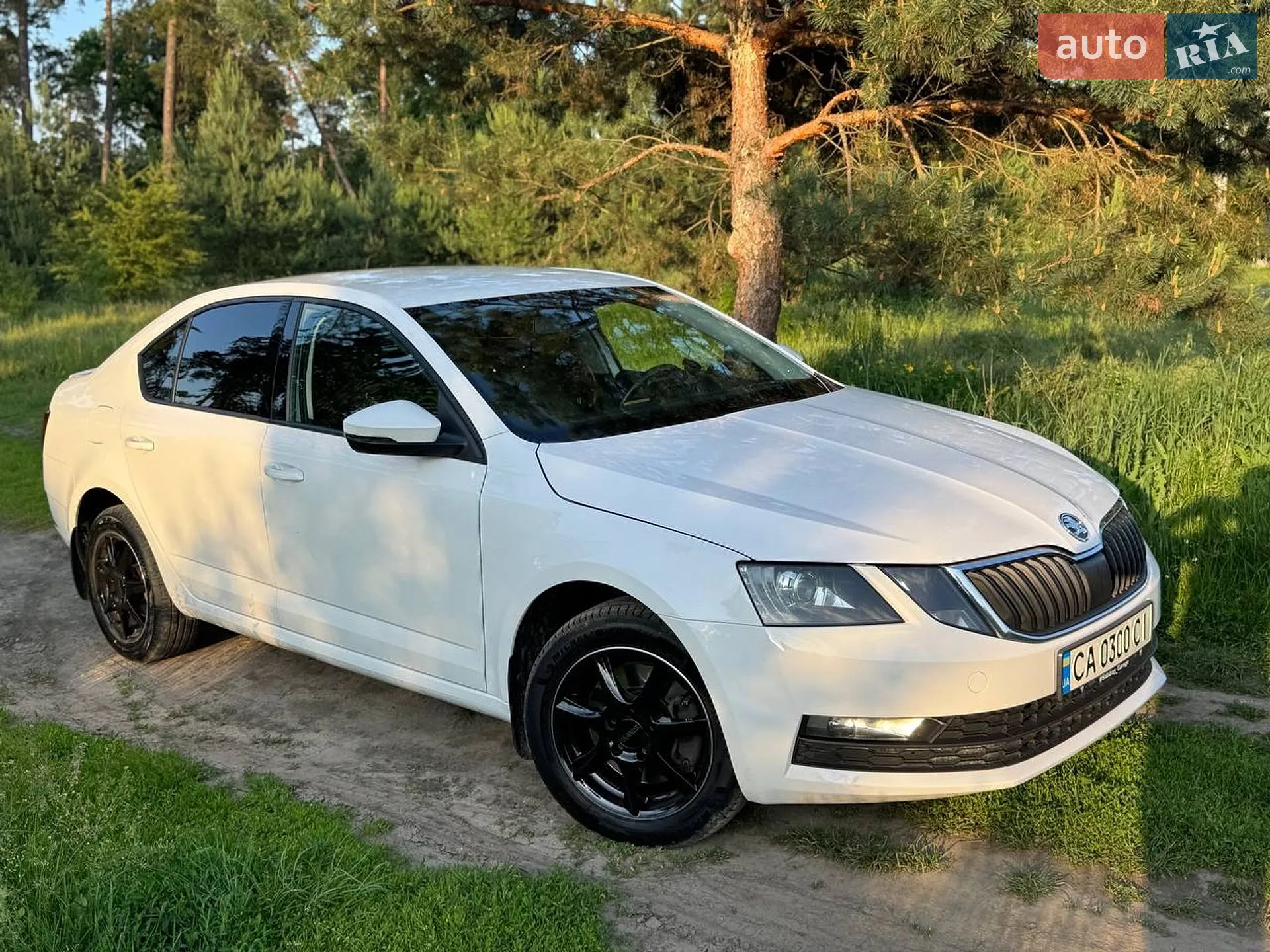 2017 Skoda Octavia - мініатюра 2