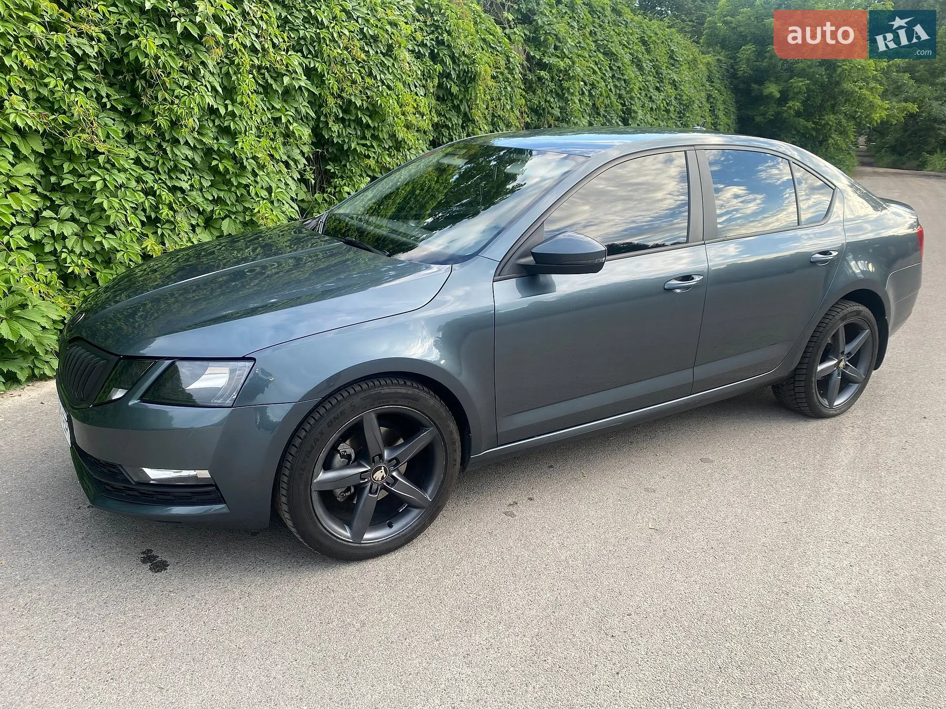 2017 Skoda Octavia - мініатюра 9