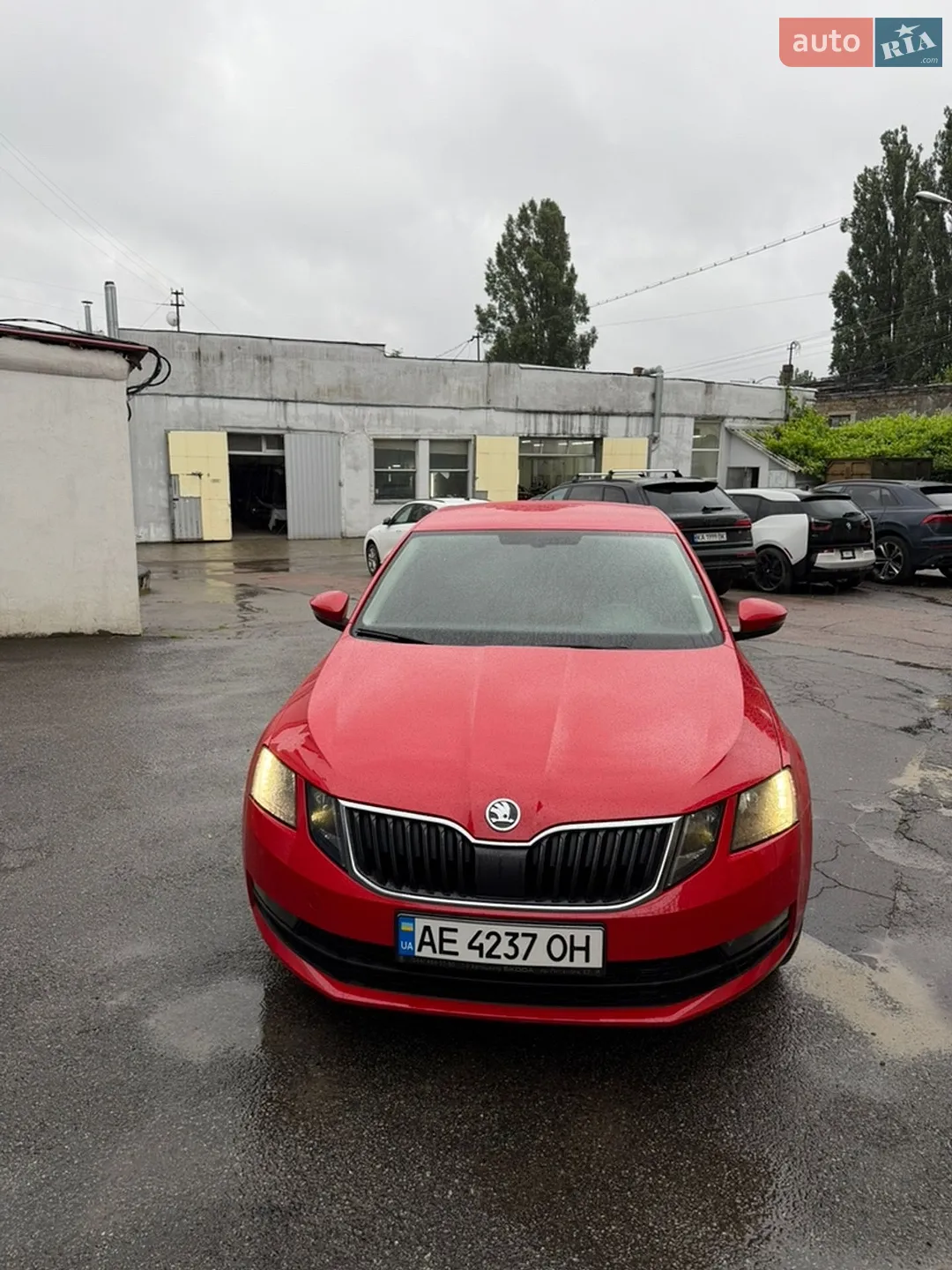 2020 Skoda Octavia - мініатюра 3