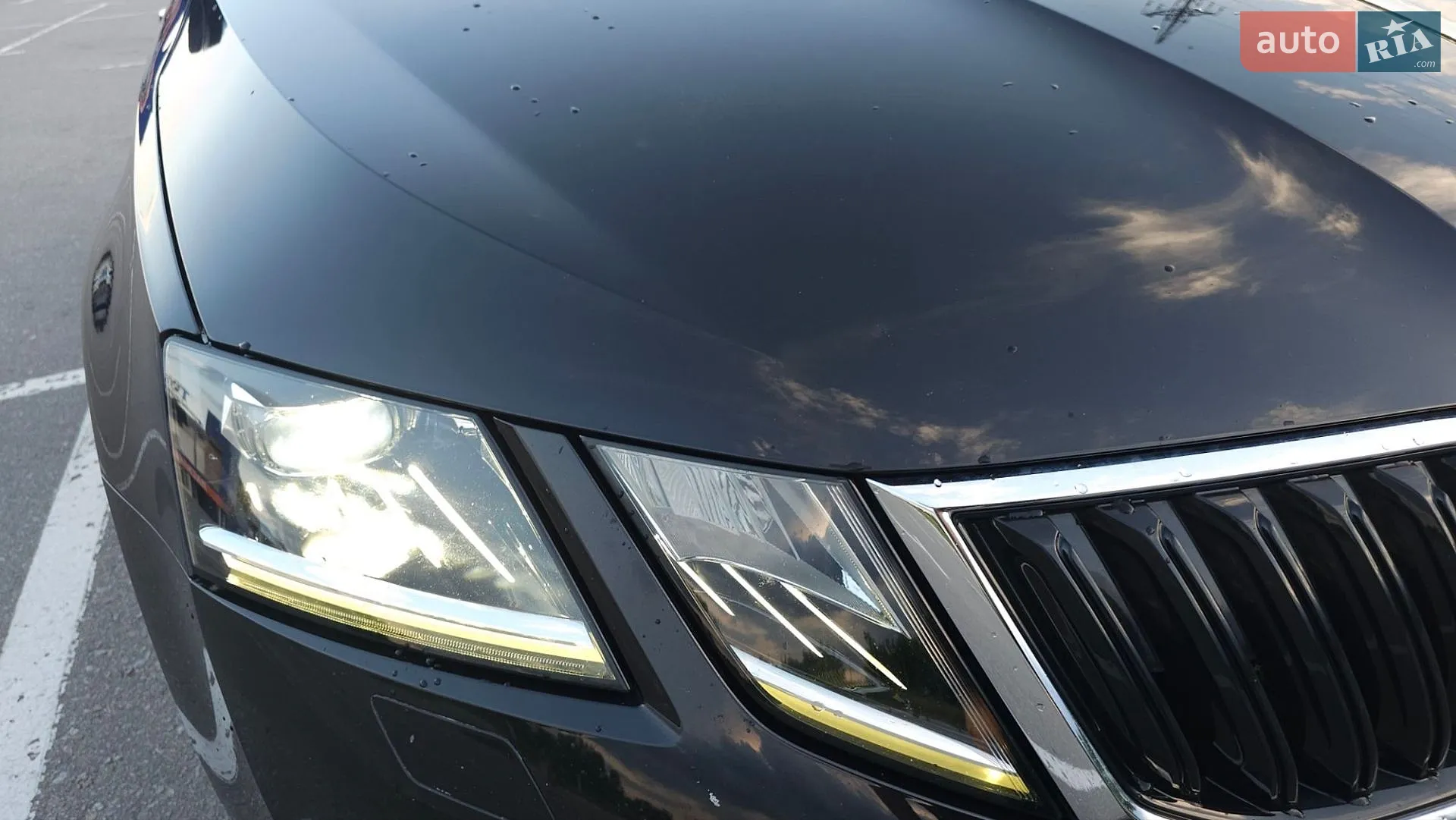 2019 Skoda Octavia - мініатюра 25