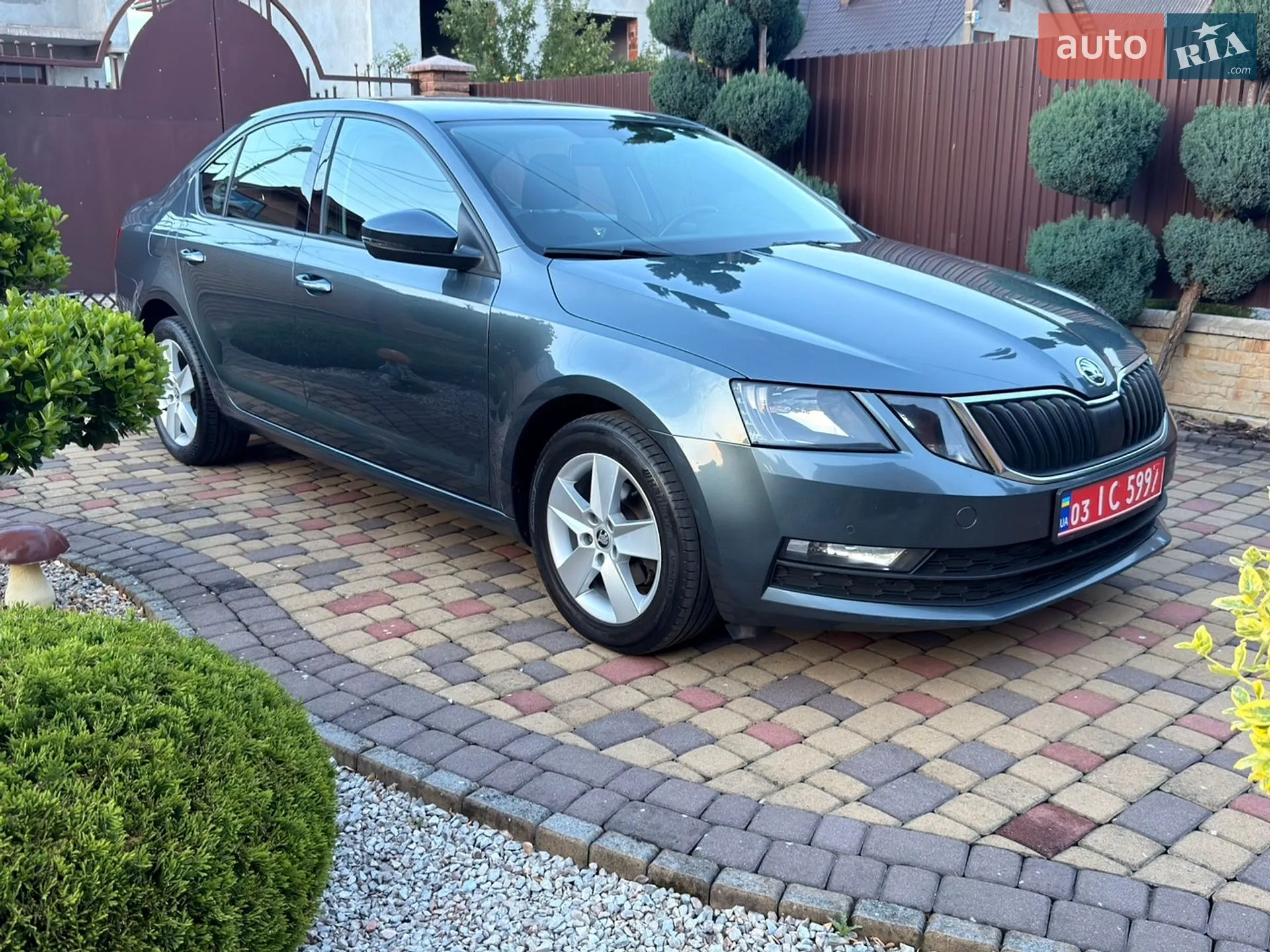 2018 Skoda Octavia - мініатюра 3