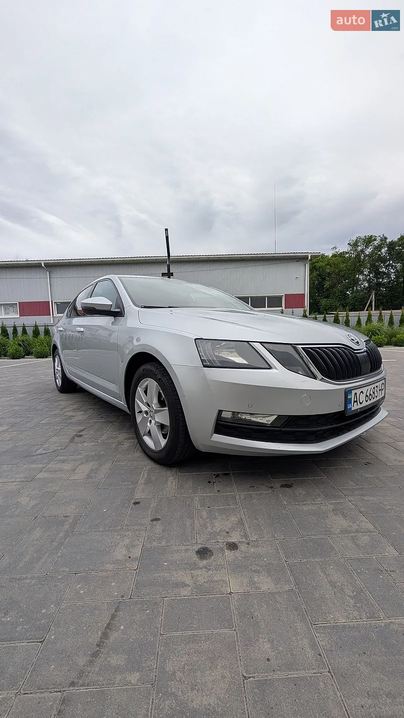 2017 Skoda Octavia - мініатюра 7