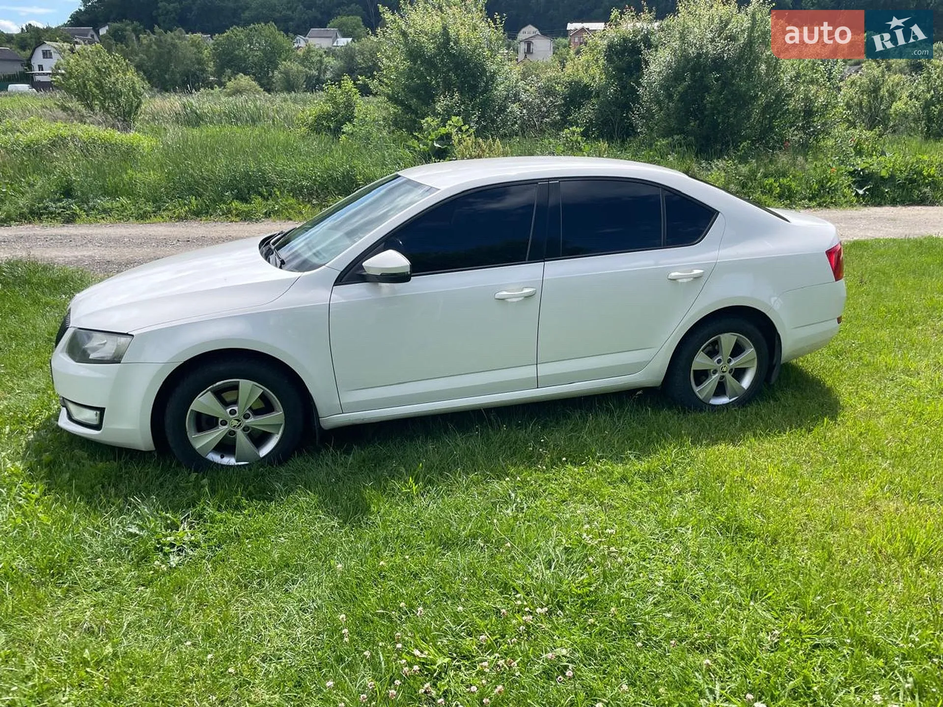 2013 Skoda Octavia - мініатюра 5