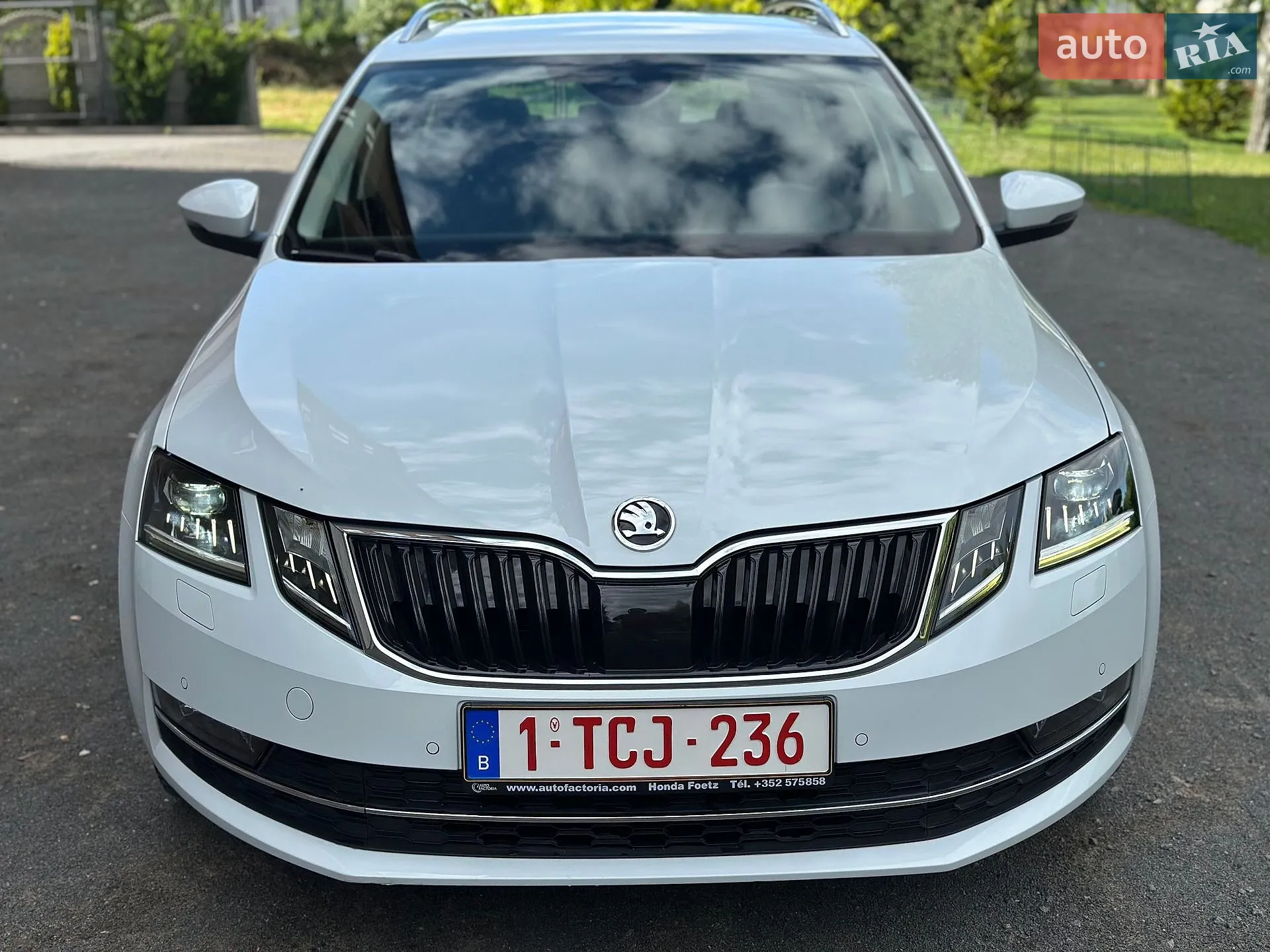 2019 Skoda Octavia - мініатюра 5