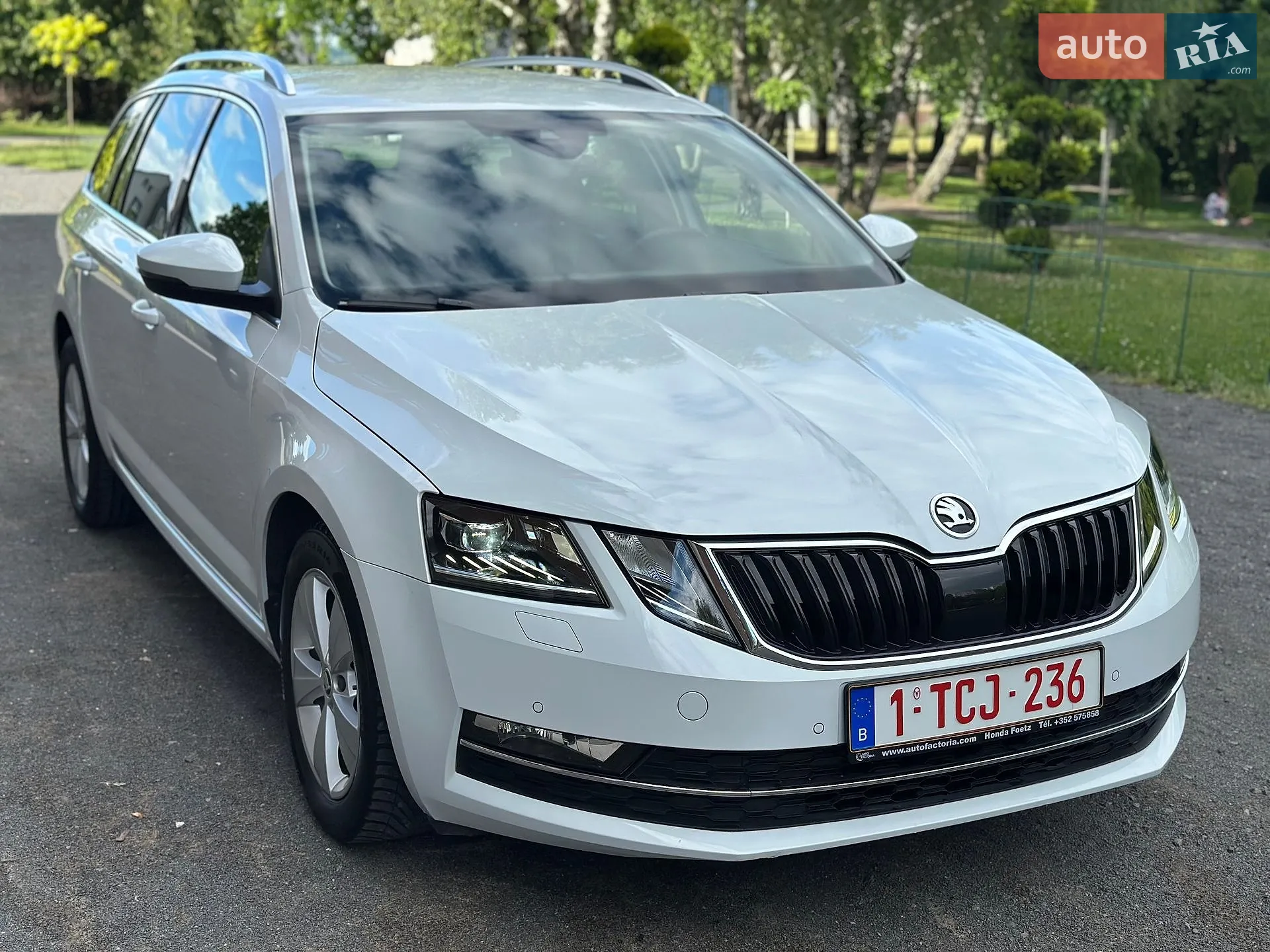 2019 Skoda Octavia - мініатюра 9