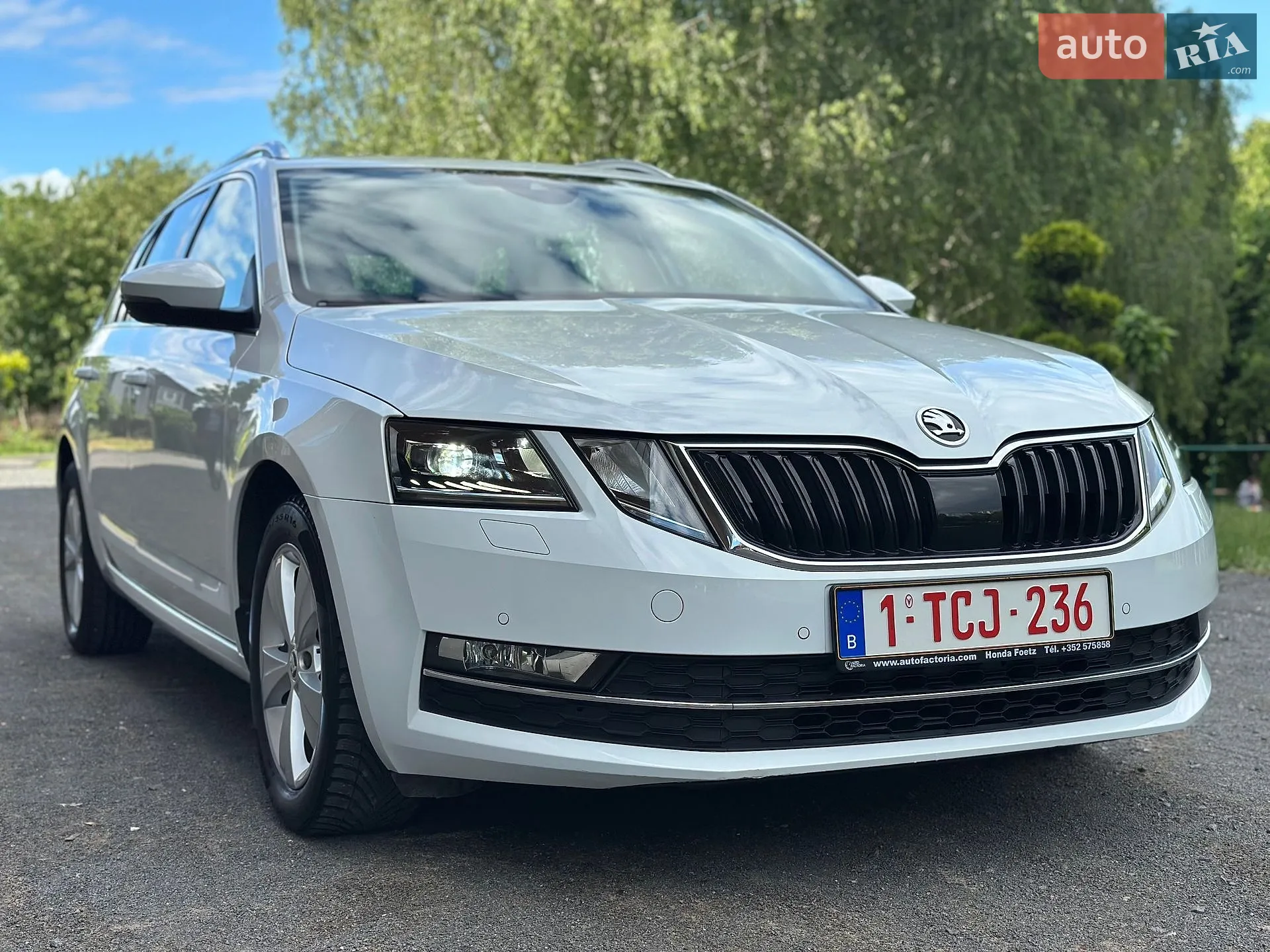 2019 Skoda Octavia - мініатюра 10