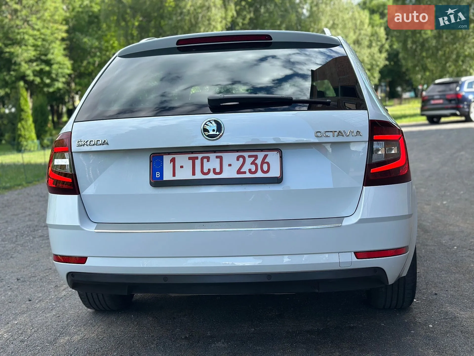 2019 Skoda Octavia - мініатюра 19