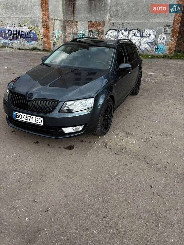 2017 Skoda Octavia - мініатюра 34