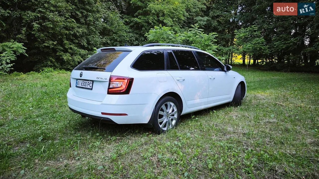2019 Skoda Octavia - мініатюра 14