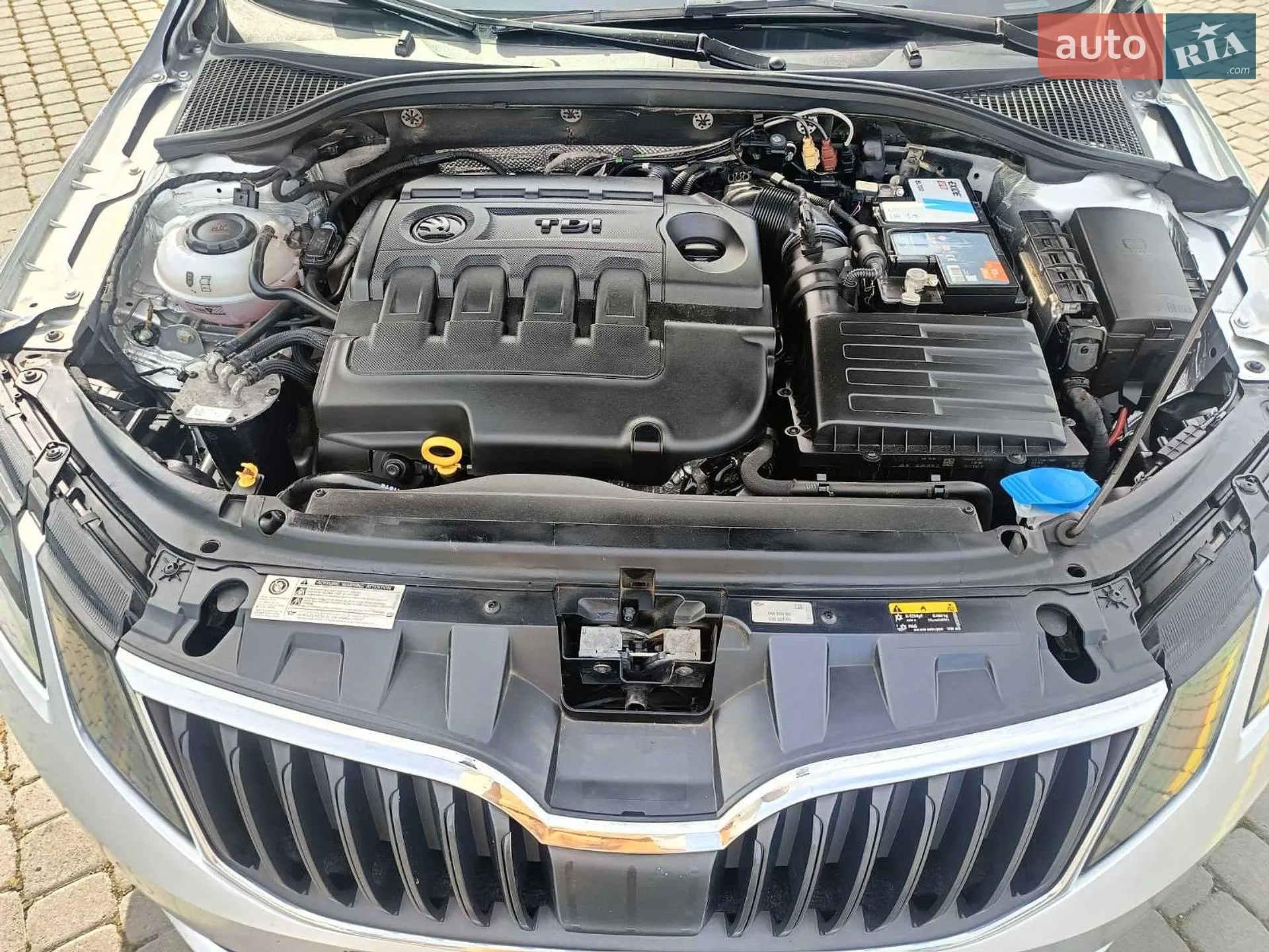 2019 Skoda Octavia - мініатюра 12