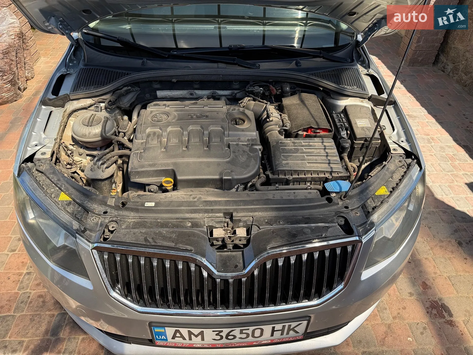 2013 Skoda Octavia - мініатюра 13