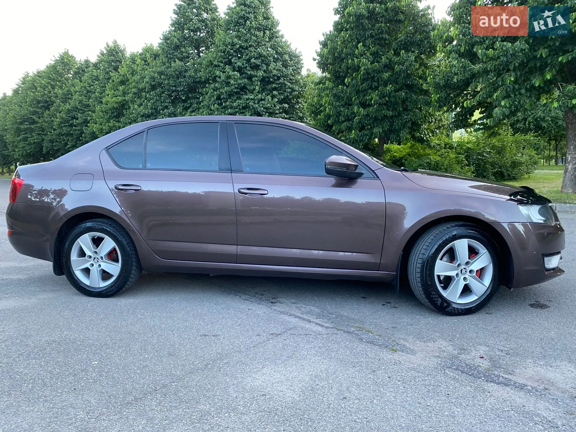 2013 Skoda Octavia - мініатюра 10