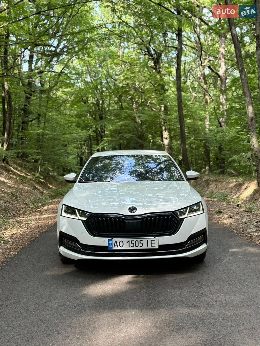 2020 Skoda Octavia - мініатюра 3