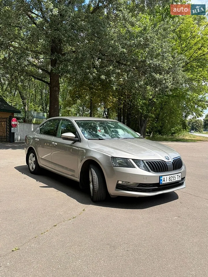 2016 Skoda Octavia - мініатюра 23