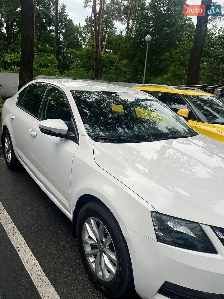2019 Skoda Octavia - мініатюра 24
