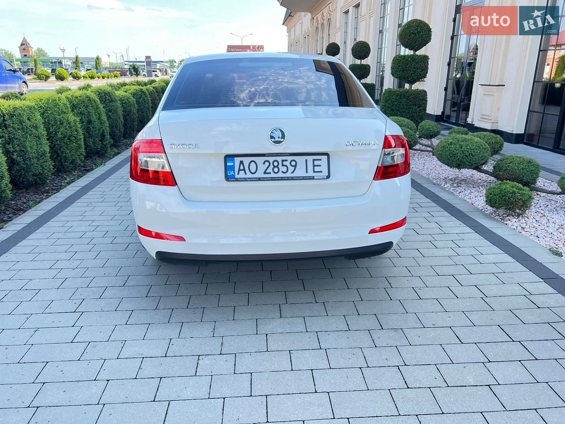 2013 Skoda Octavia - мініатюра 6
