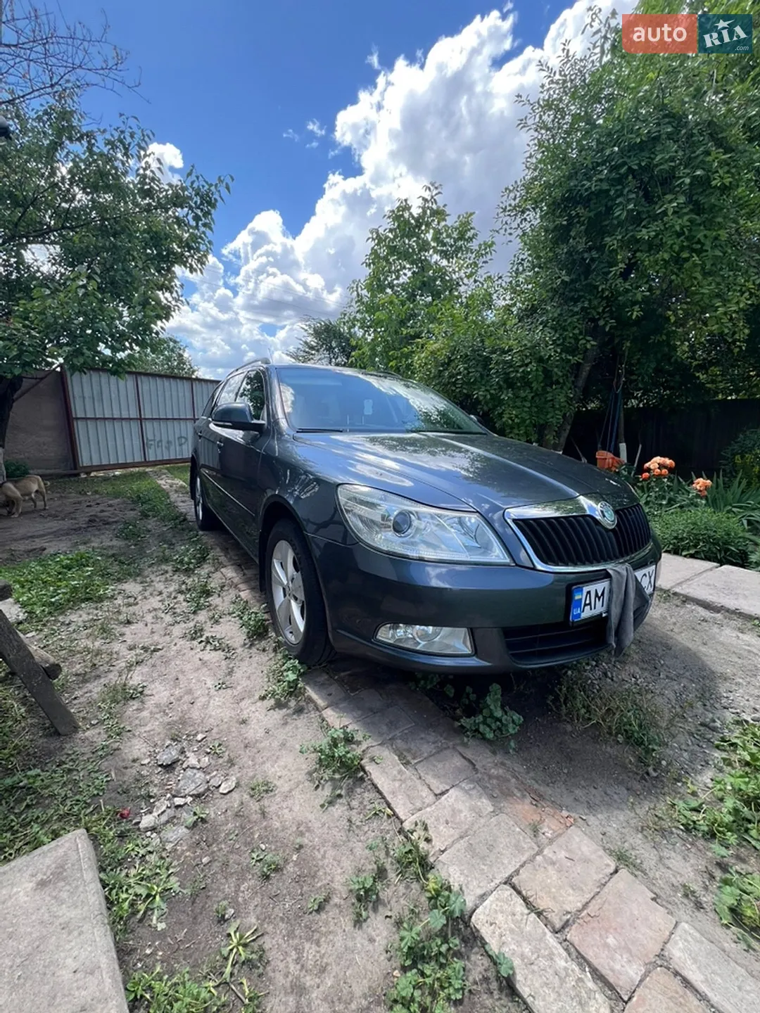 2010 Skoda Octavia - мініатюра 2