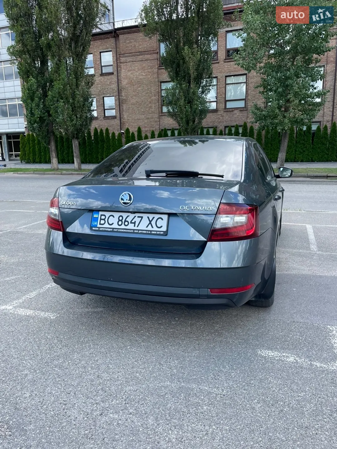 2017 Skoda Octavia - мініатюра 15