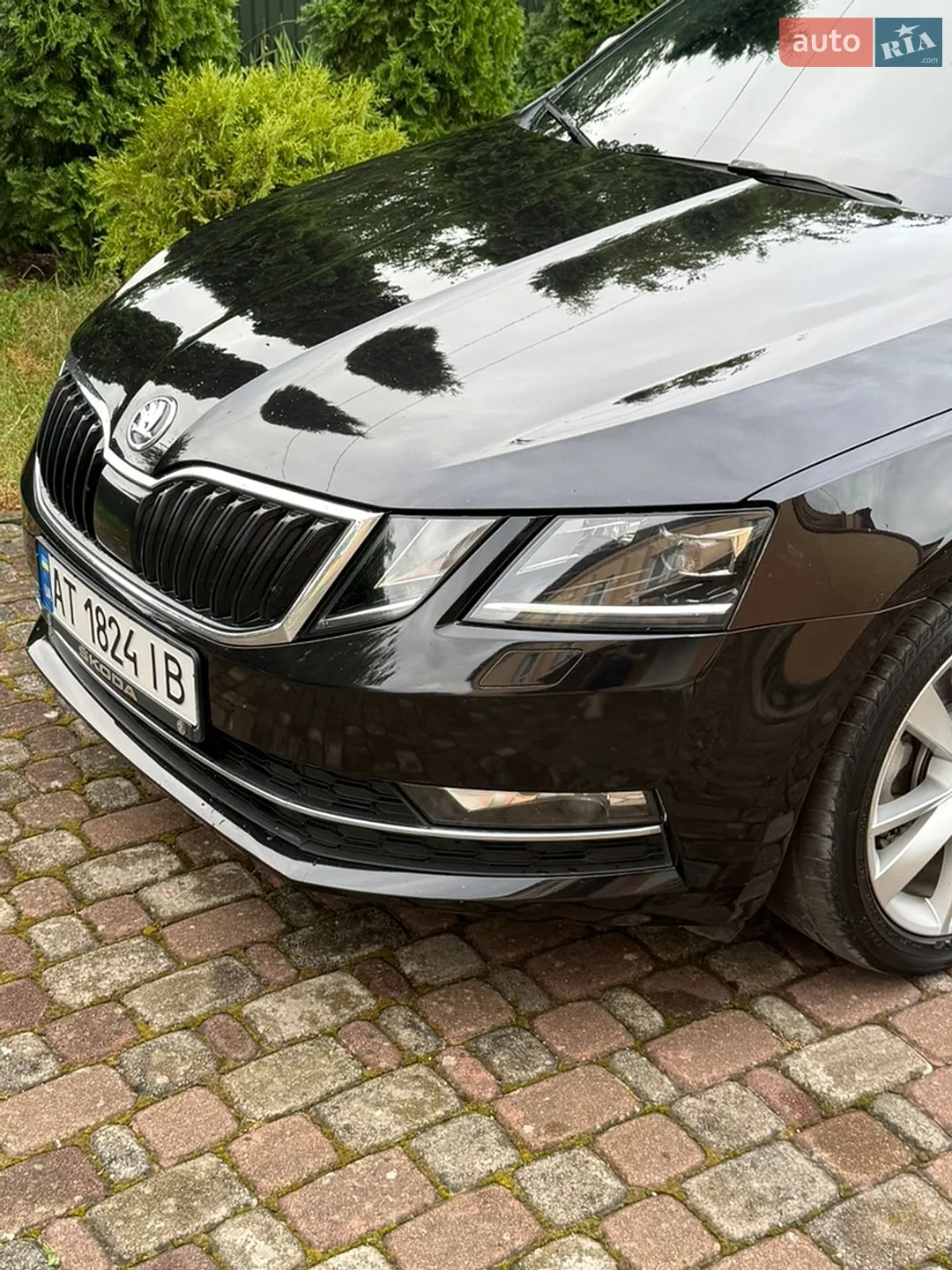 2017 Skoda Octavia - мініатюра 11