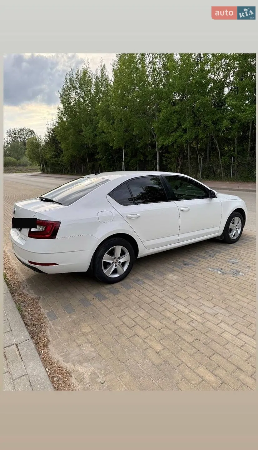 2018 Skoda Octavia - мініатюра 2