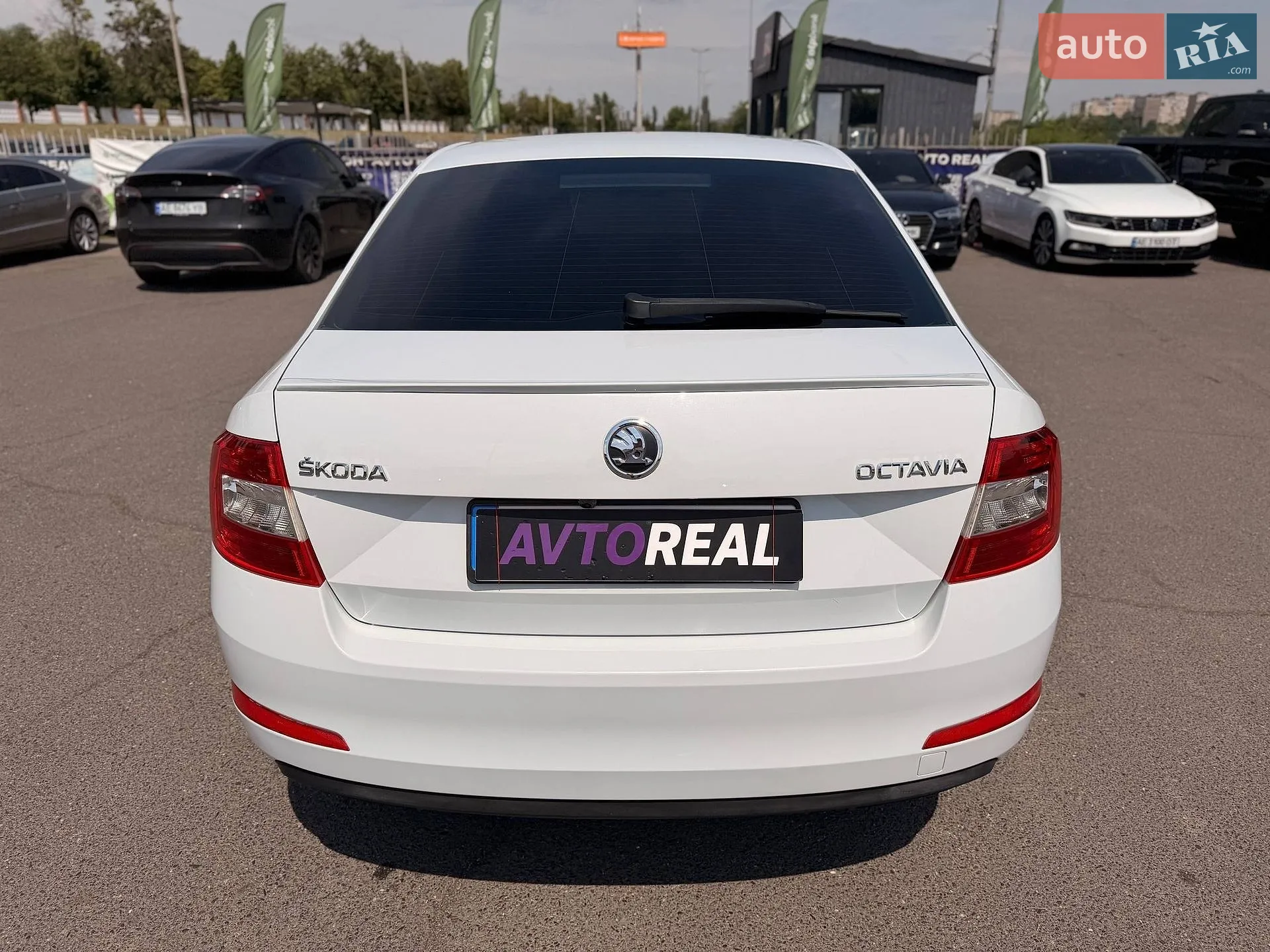 2014 Skoda Octavia - мініатюра 31