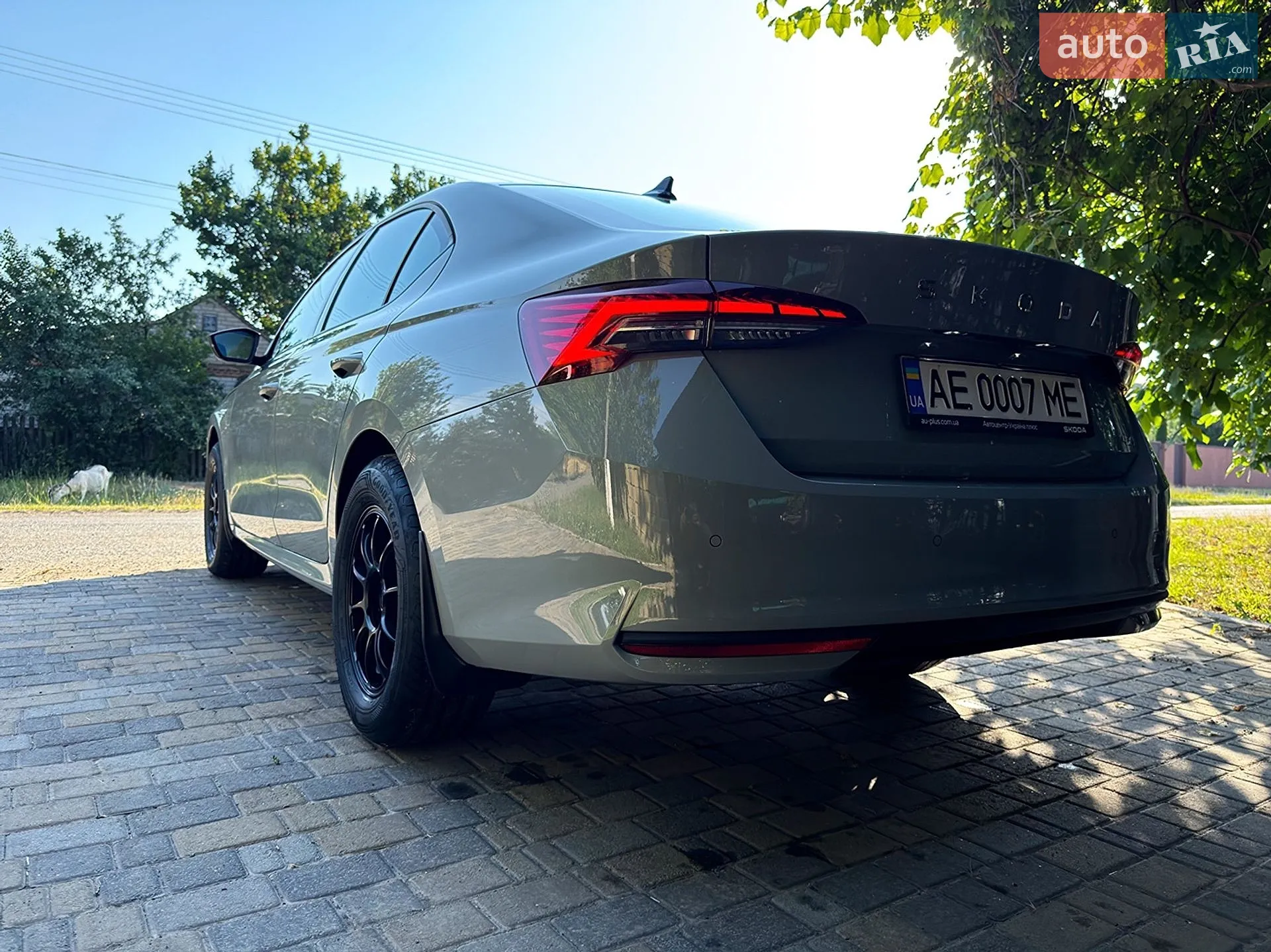 2025 Skoda Octavia - мініатюра 14