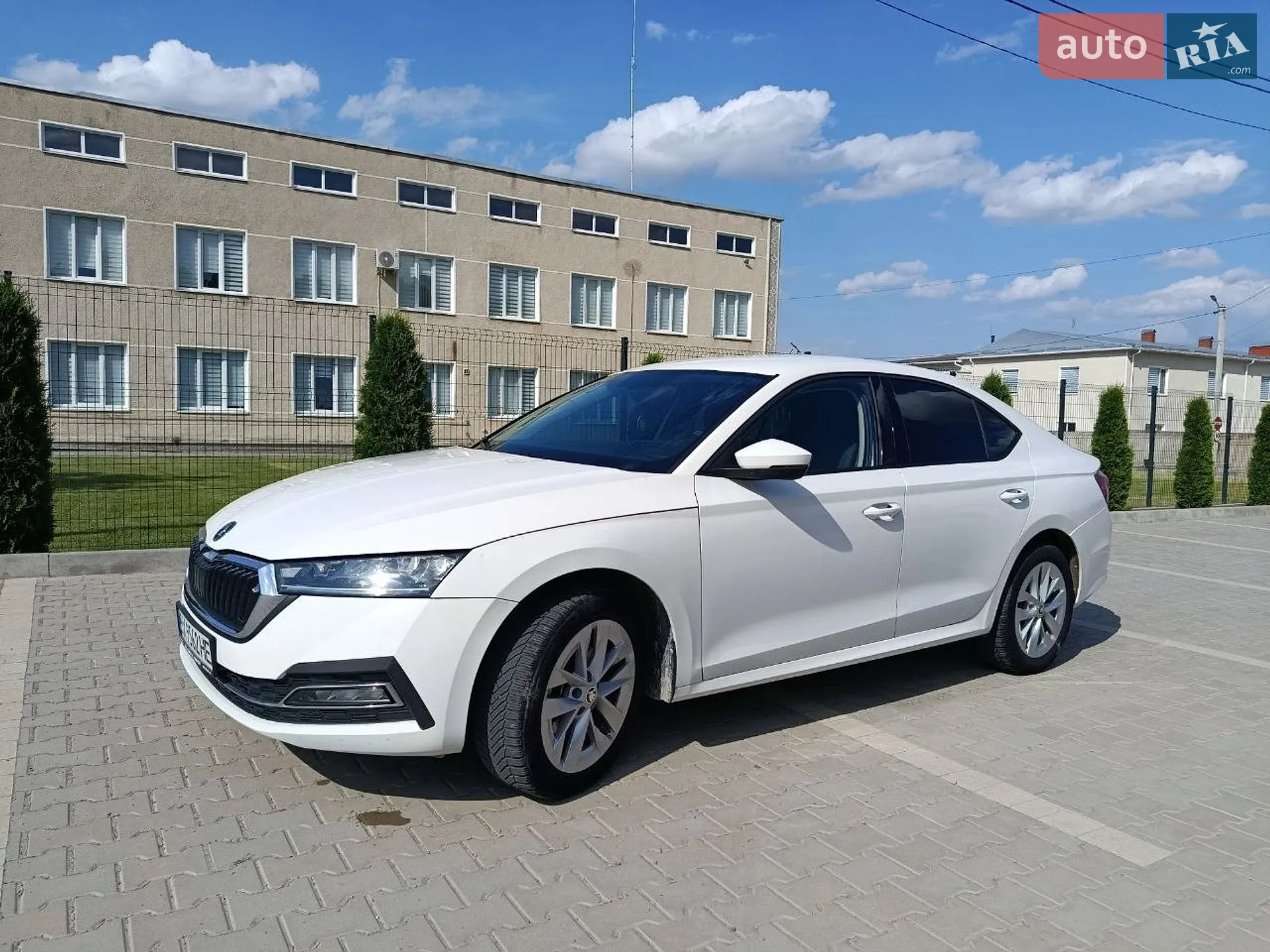 2020 Skoda Octavia - фото 1
