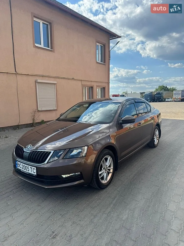 2019 Skoda Octavia - мініатюра 47