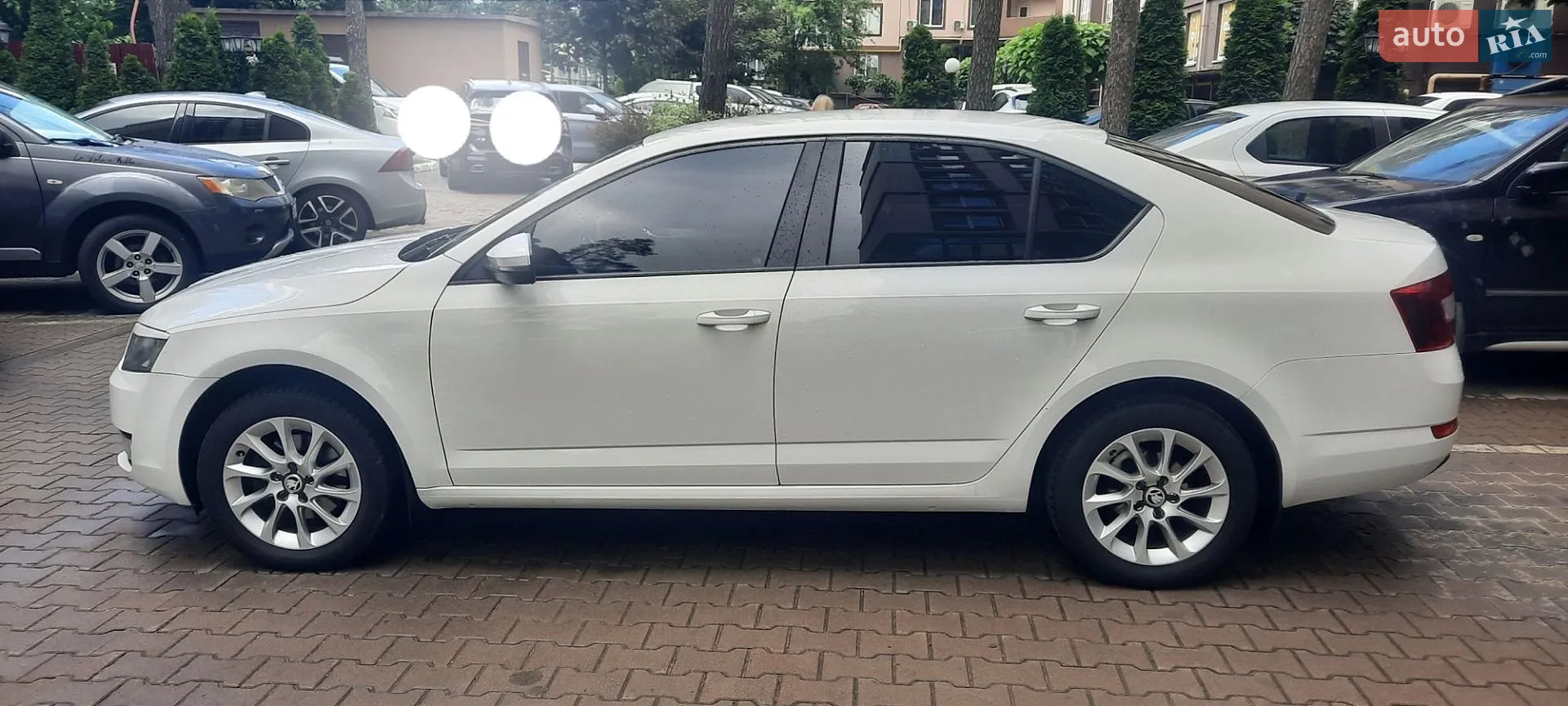 2014 Skoda Octavia - мініатюра 9