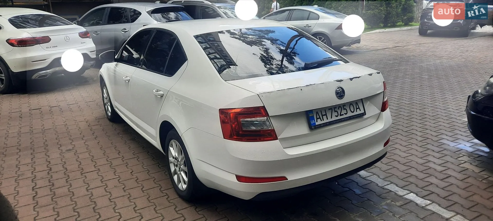 2014 Skoda Octavia - мініатюра 8
