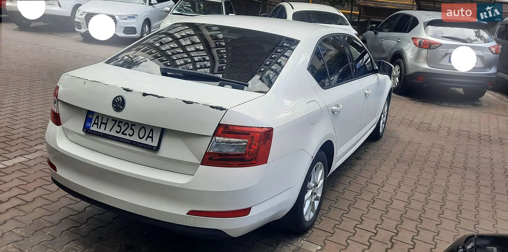2014 Skoda Octavia - мініатюра 6