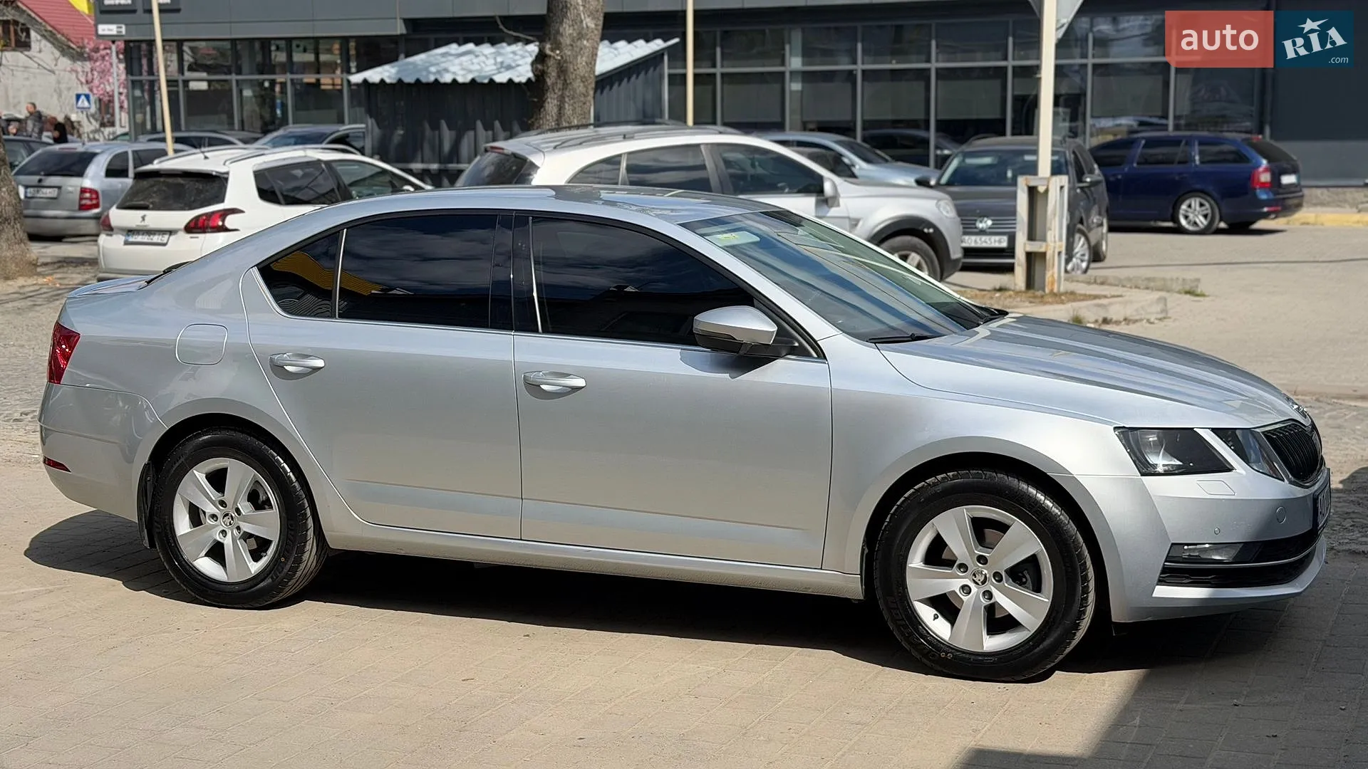 2019 Skoda Octavia - фото 1