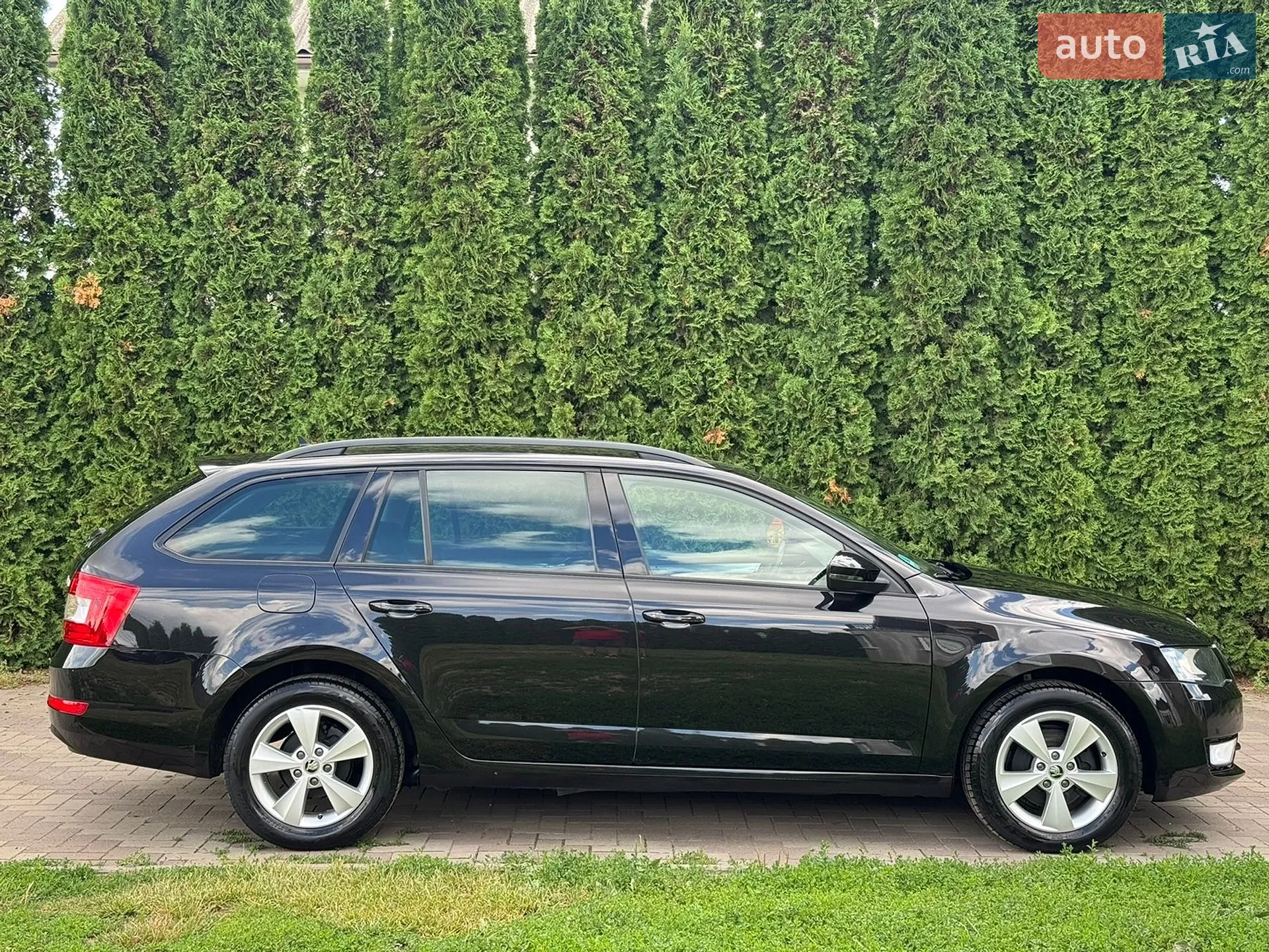 2015 Skoda Octavia - мініатюра 3