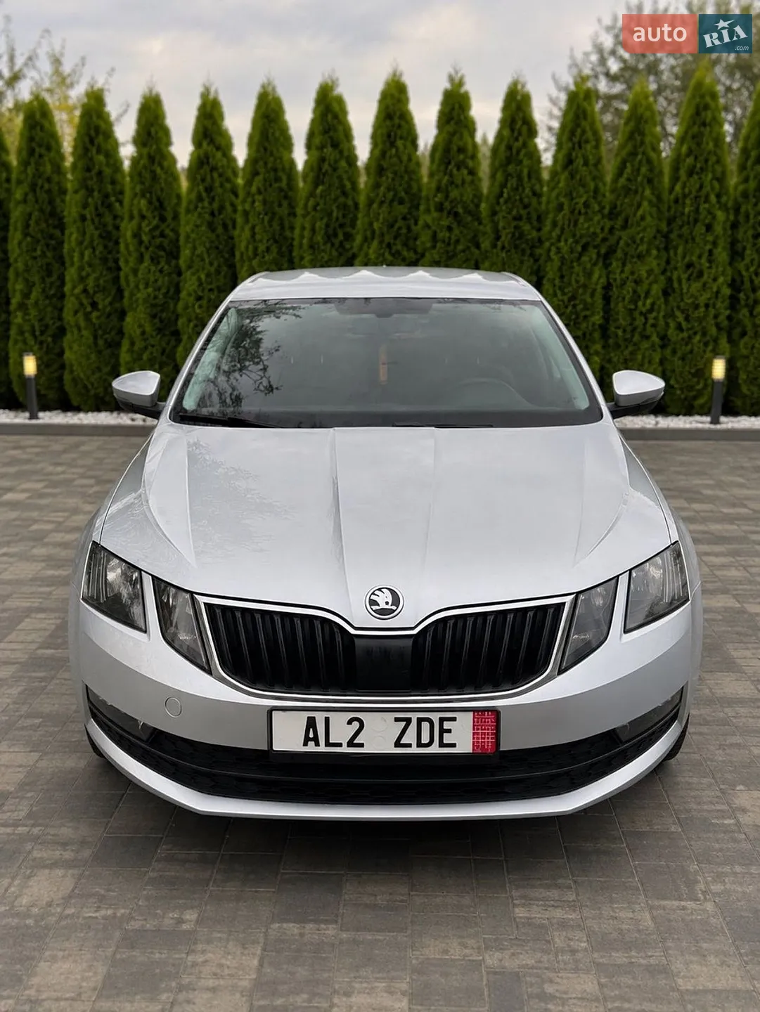 2018 Skoda Octavia - мініатюра 2