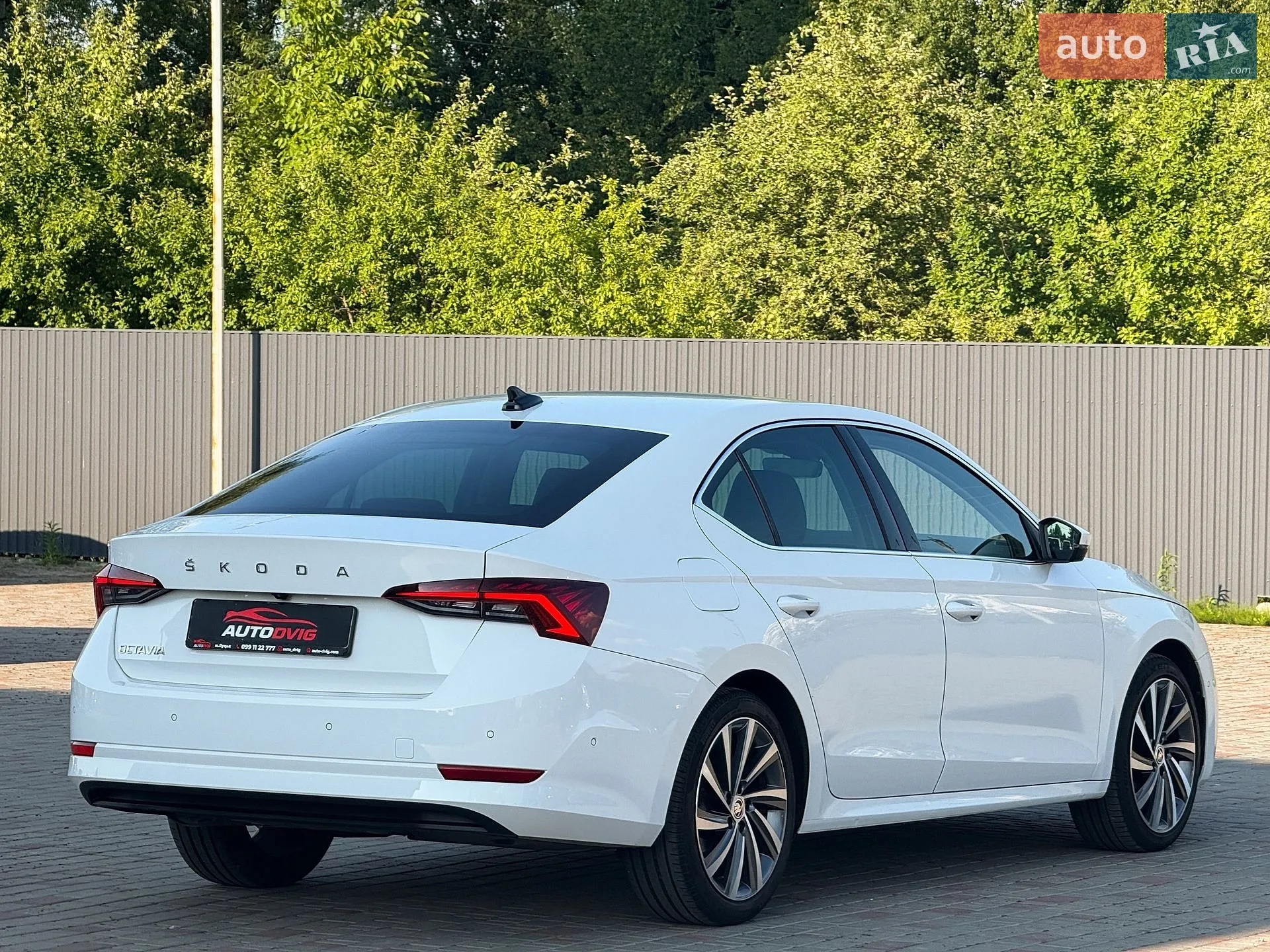 2020 Skoda Octavia - мініатюра 4