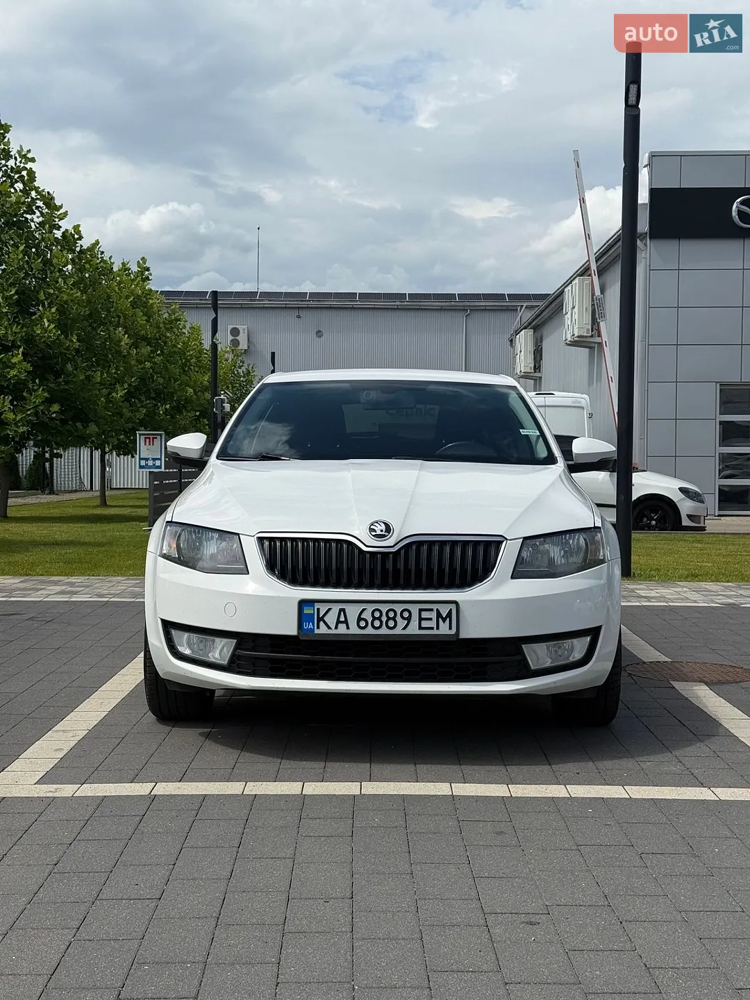 2015 Skoda Octavia - мініатюра 8