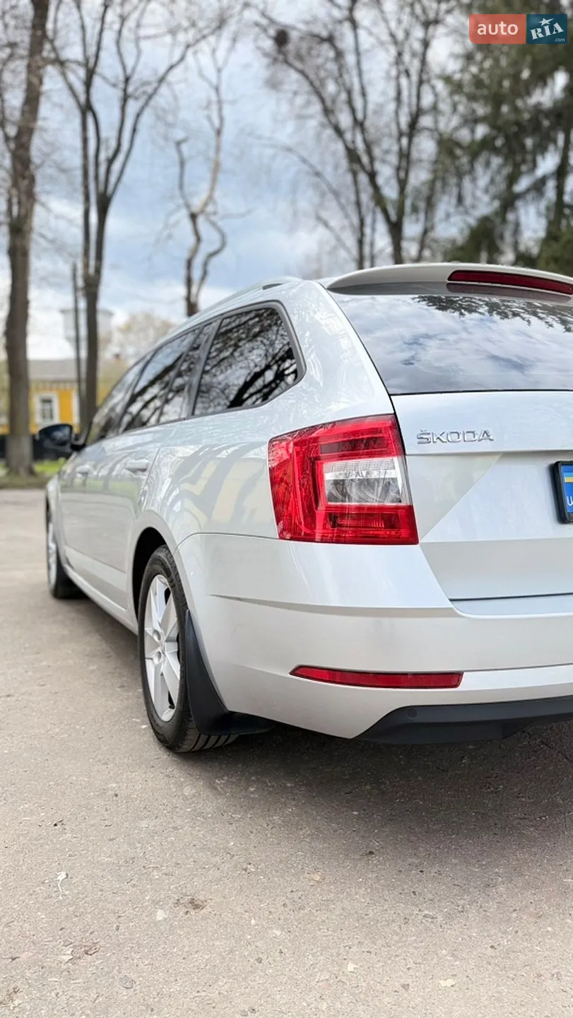 2018 Skoda Octavia - мініатюра 14