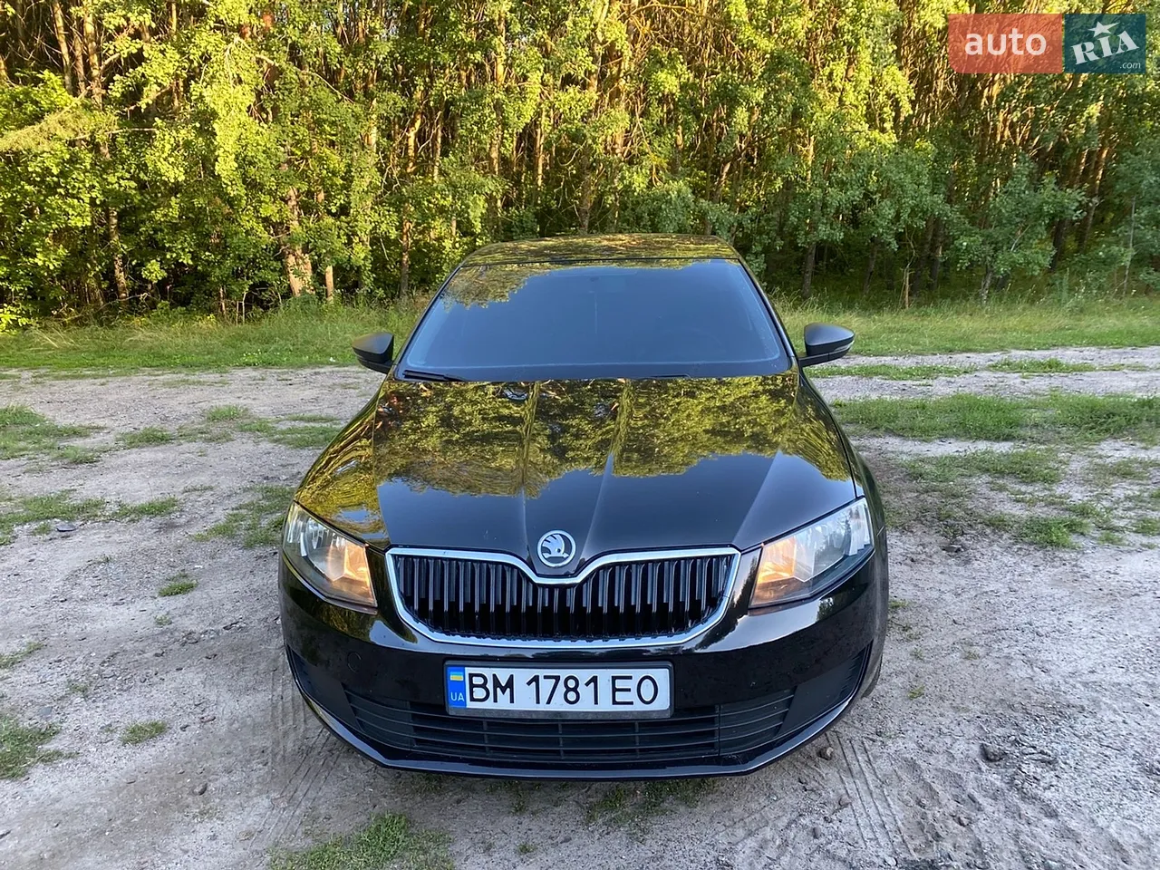2016 Skoda Octavia - мініатюра 24