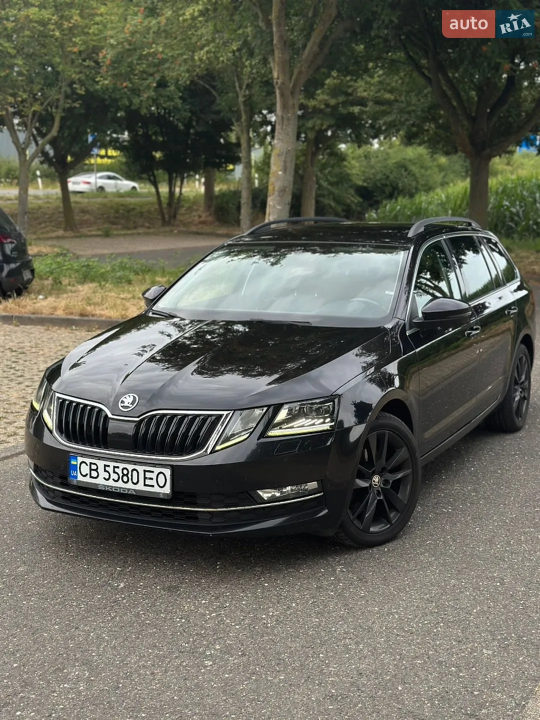 2019 Skoda Octavia - мініатюра 3