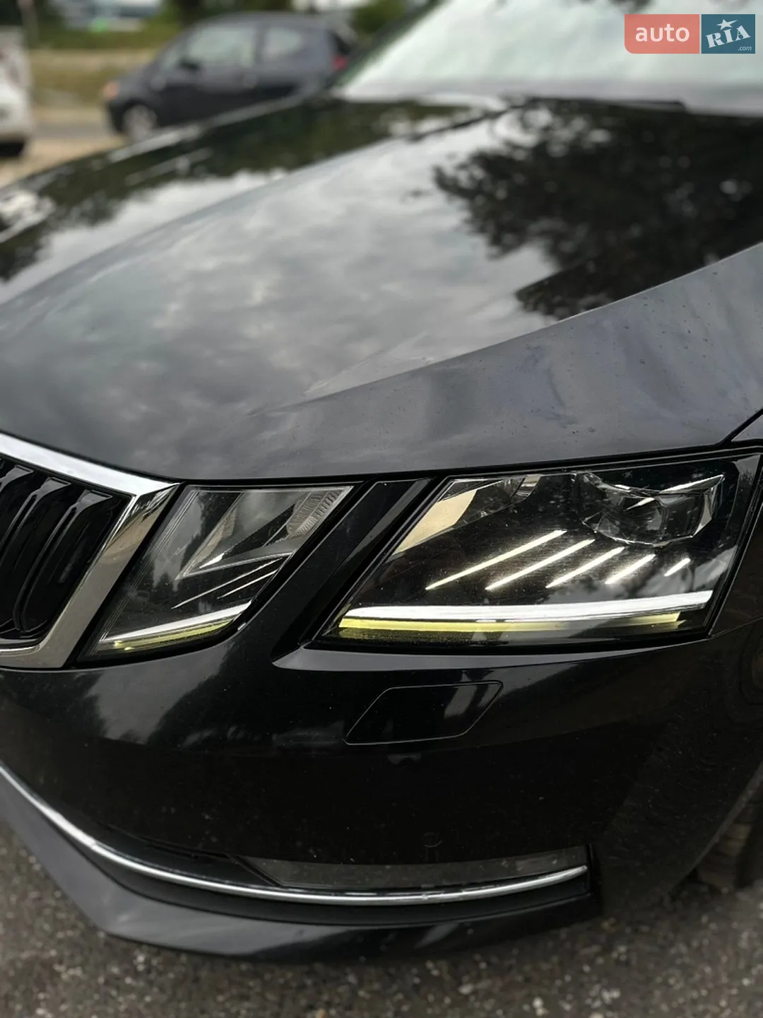 2019 Skoda Octavia - мініатюра 9