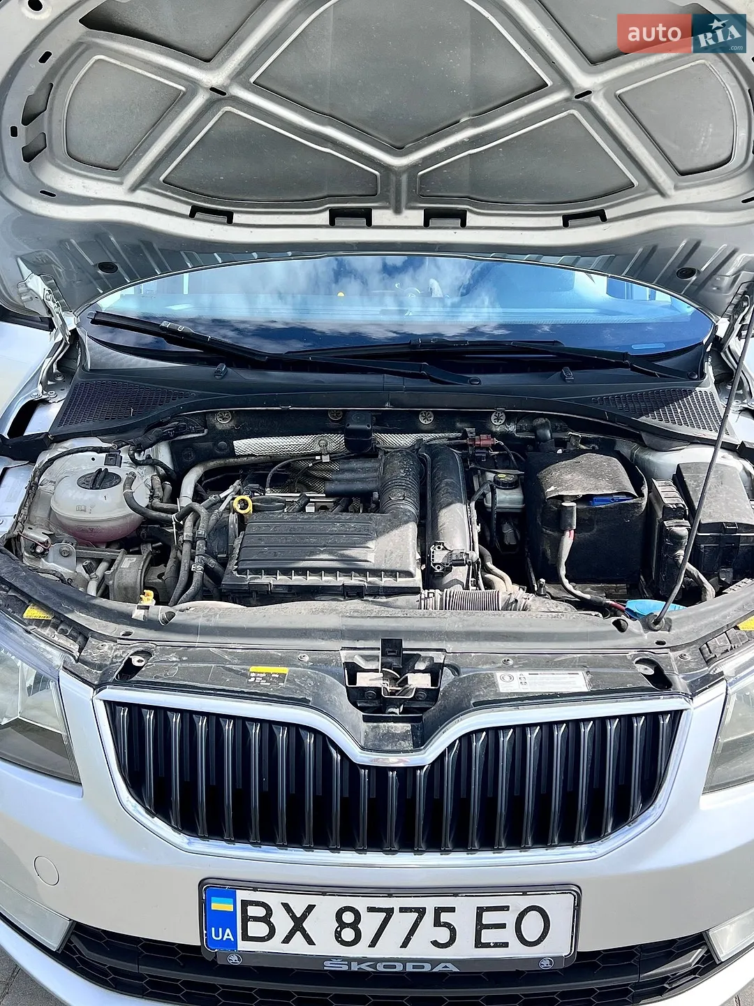 2017 Skoda Octavia - мініатюра 5
