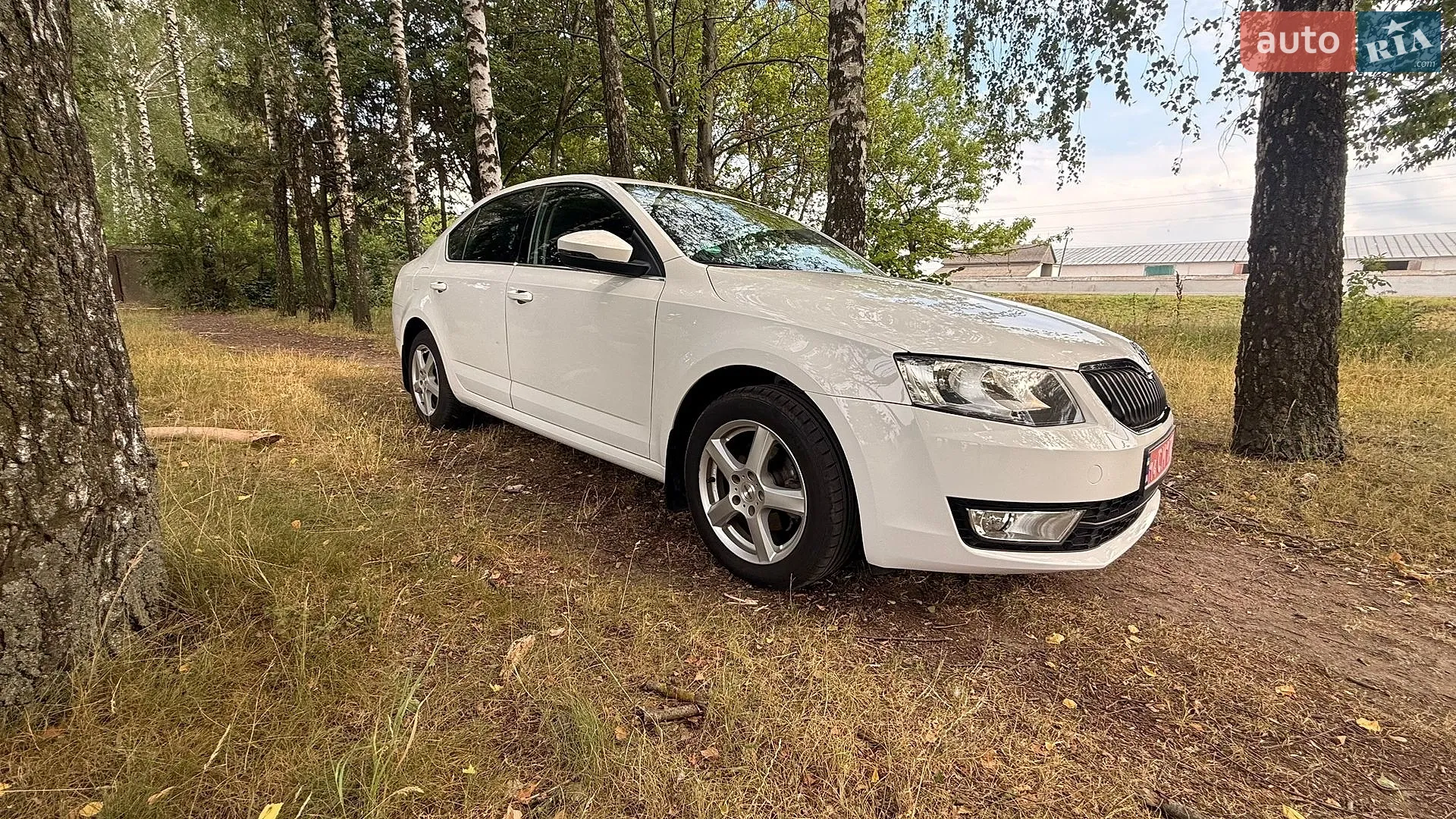 2017 Skoda Octavia - мініатюра 3