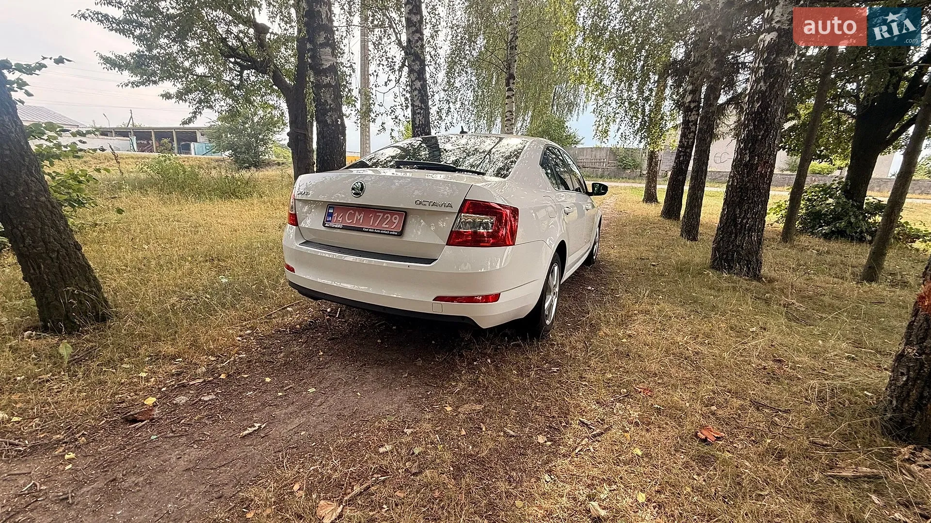 2017 Skoda Octavia - мініатюра 12