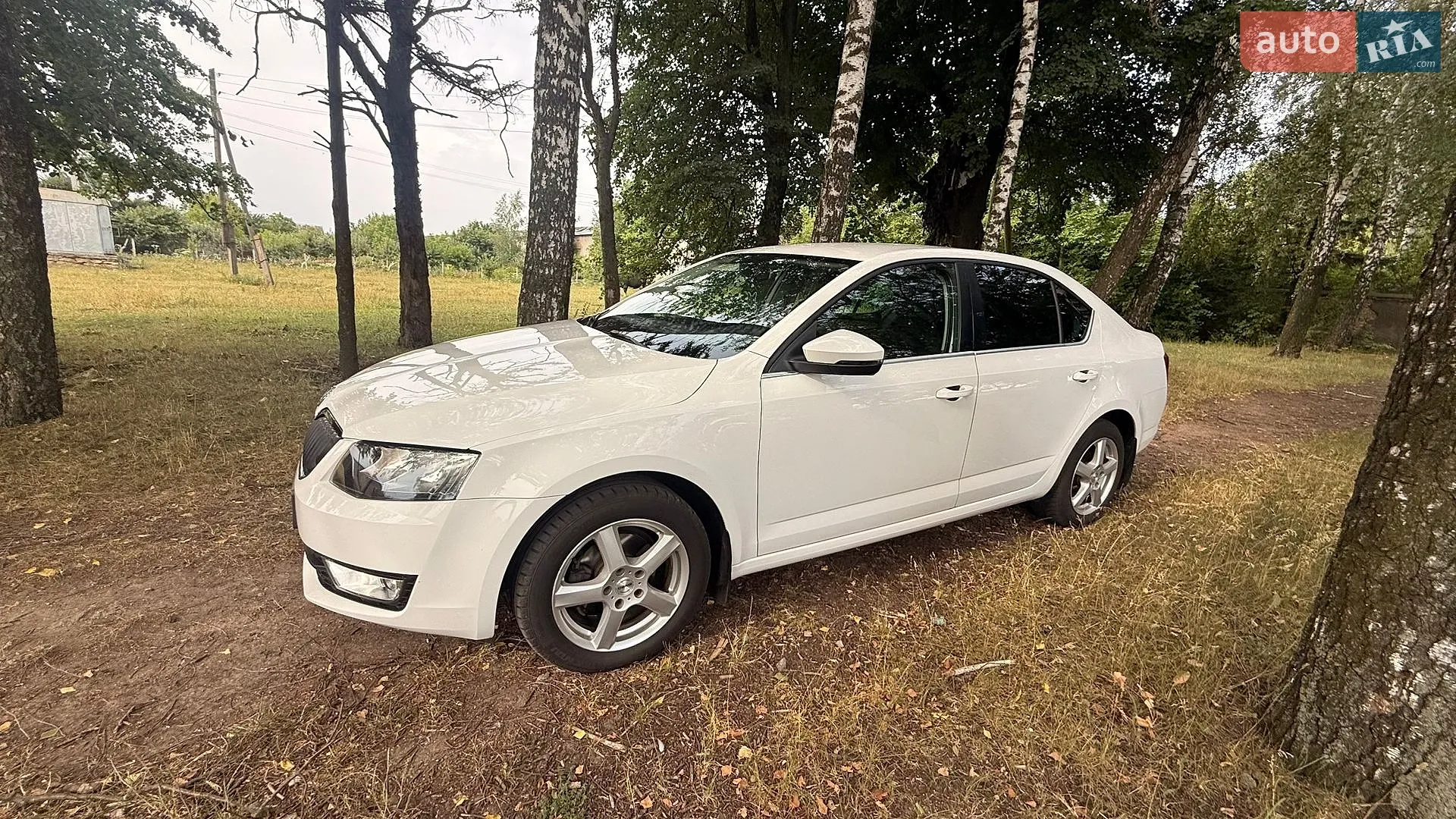 2017 Skoda Octavia - мініатюра 9